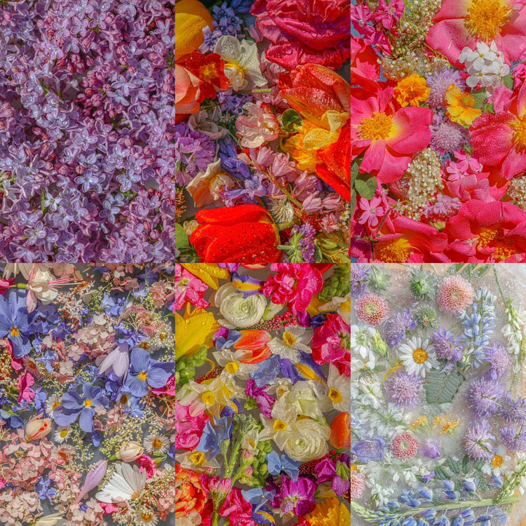 Digital Wallpaper Packs