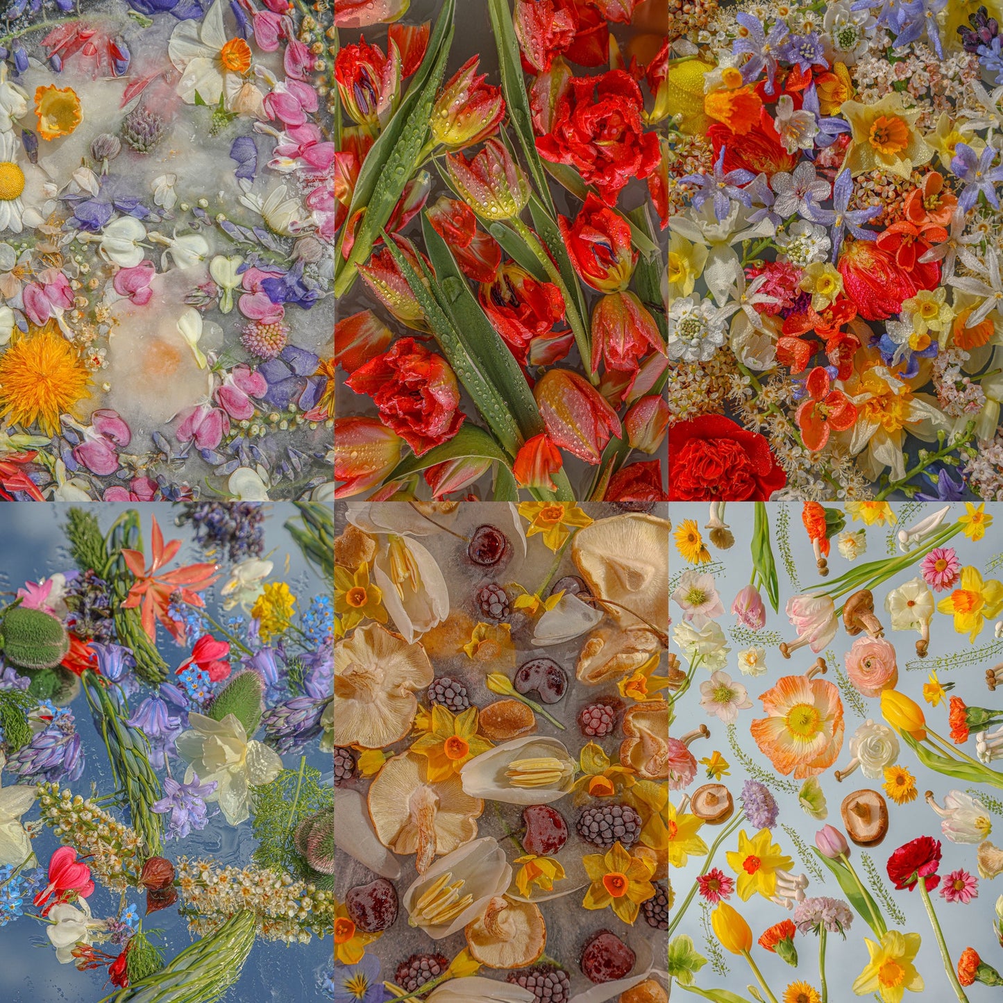 Digital Wallpaper package. - 2 - Limited Edition * Win A Print