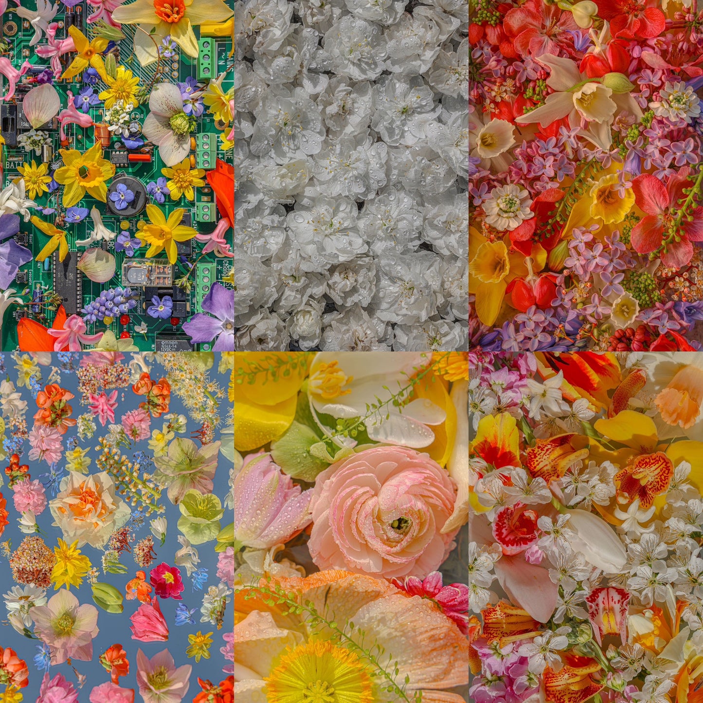 Digital Wallpaper package. 10