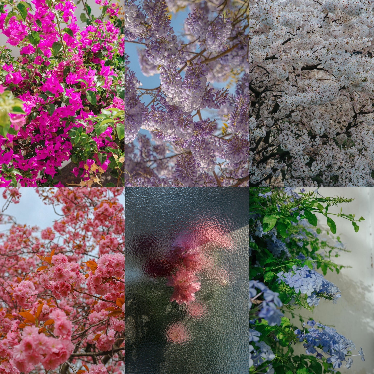 Digital Wallpaper package. In The Wild