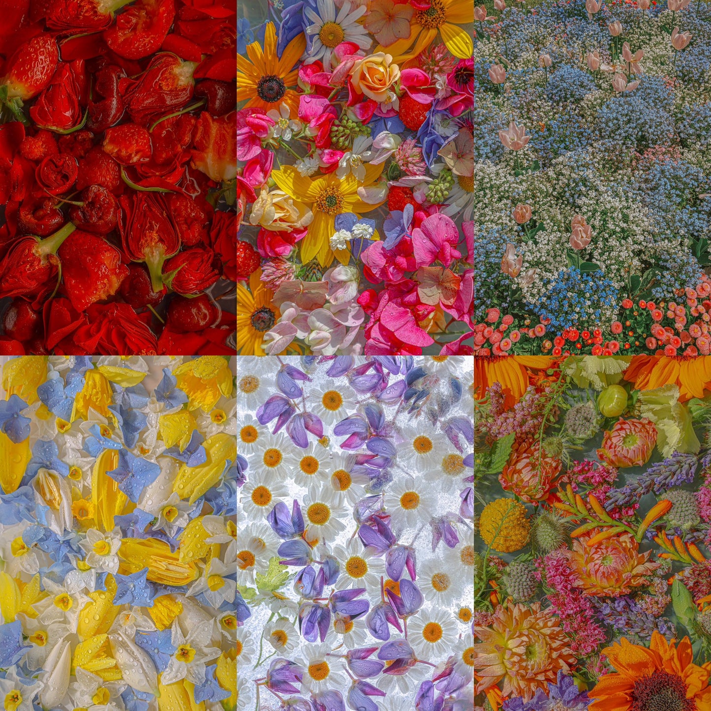 Digital Wallpaper package. 6