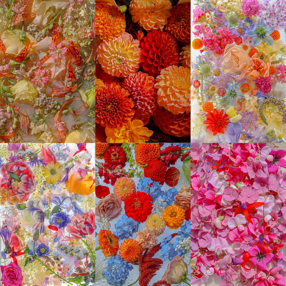 Digital Wallpaper package. - Last summer