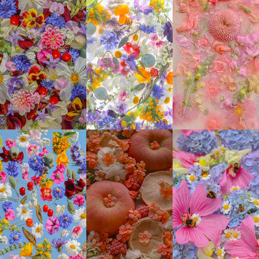 Digital Wallpaper package. Pollinate 🐝