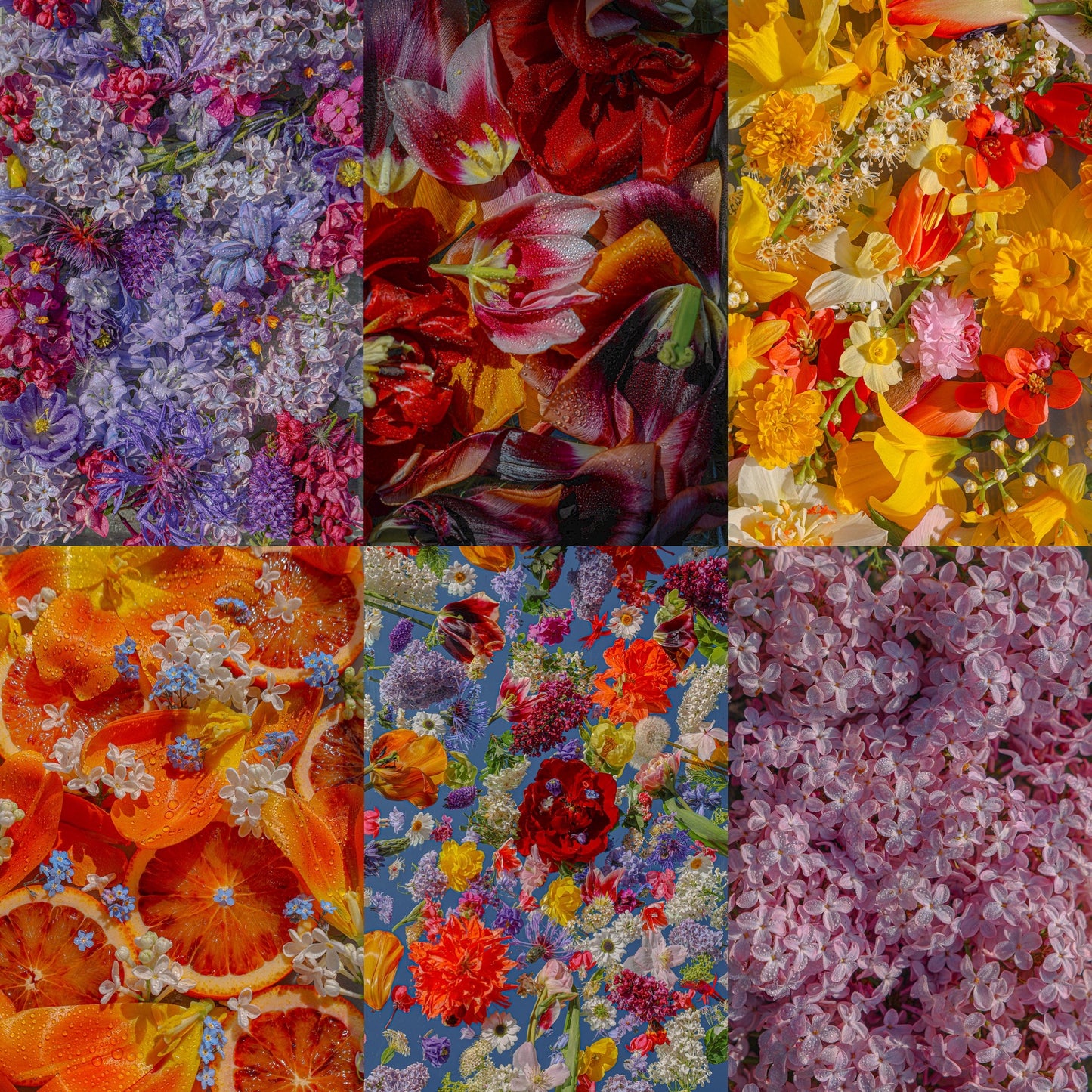 Digital Wallpaper package. - Summer 2026 ☀️