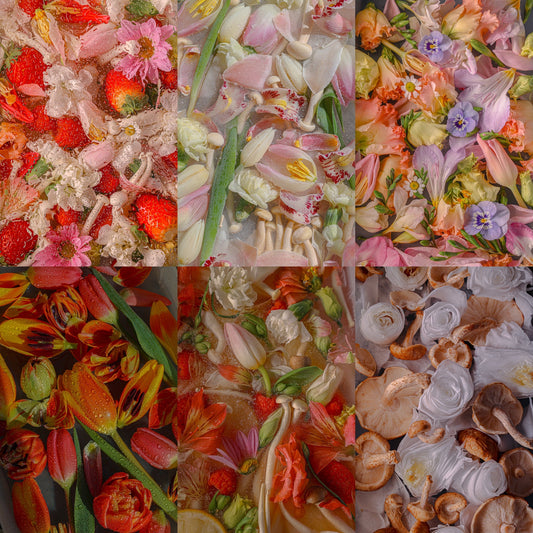 Digital Wallpaper package. New Bloom