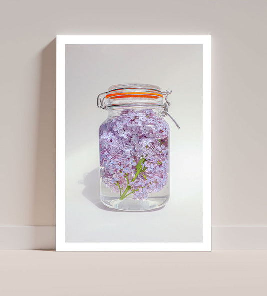Preserve